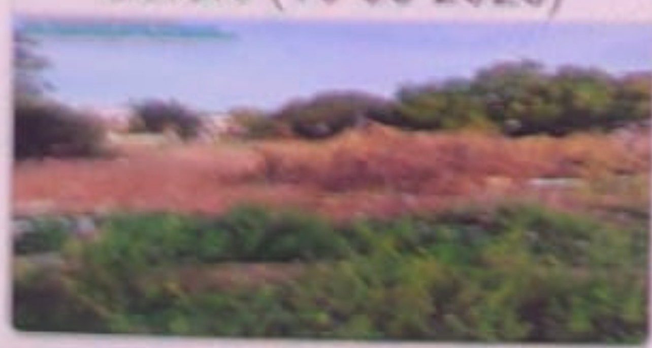 Before photo for complaint MA-000001