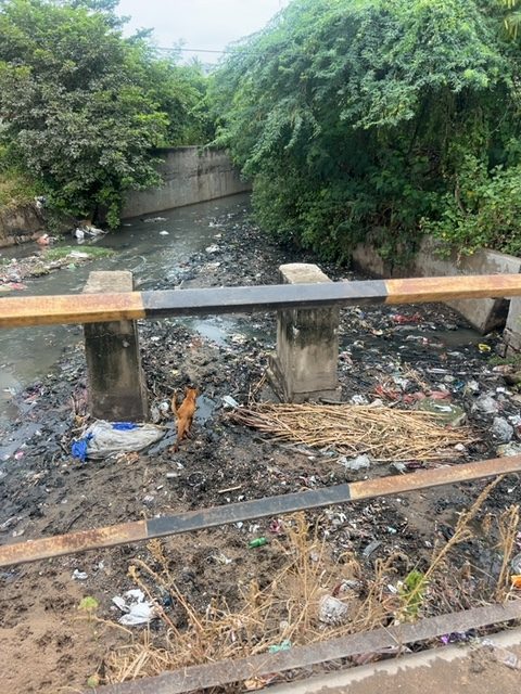 Before photo for complaint MA-000020